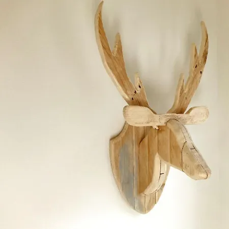 Marta Am Im Sauerland Mit Eigener Sauna, Garten, Terrasse, Balkon Und Blick Auf Den Diemelsee